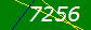 validation Code